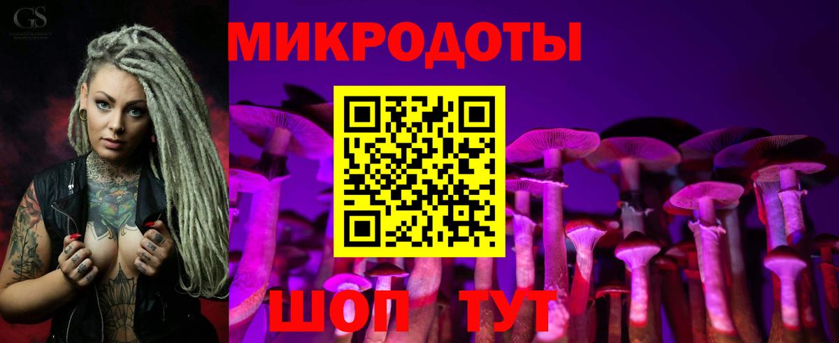 Великий Новгород  Псилоцибиновые грибы мухоморы  Вход с VPN 