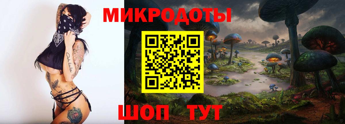 Псилоцибиновые грибы MAGIC MUSHROOMS Великий Новгород